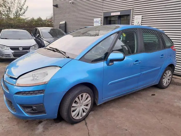 Portierruit 4Deurs links-voor Citroen C4 Picasso