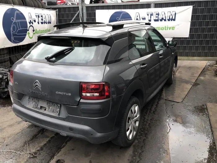 Juego de portaequipajes Citroen C4 Cactus