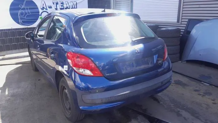 Amortiguador izquierda detrás Peugeot 207