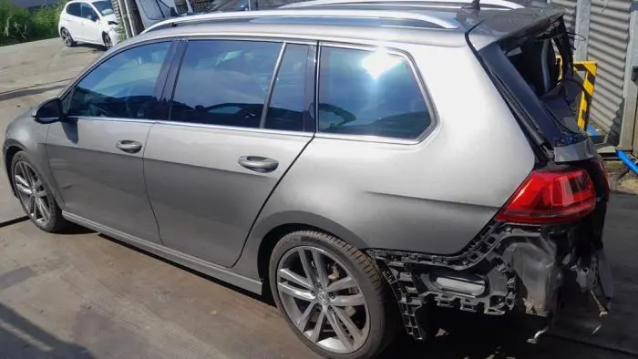 Amortiguador izquierda detrás Volkswagen Golf