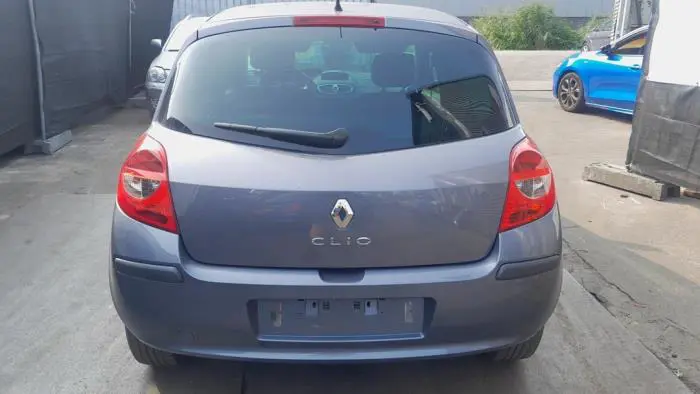 Muelle de torsión detrás Renault Clio