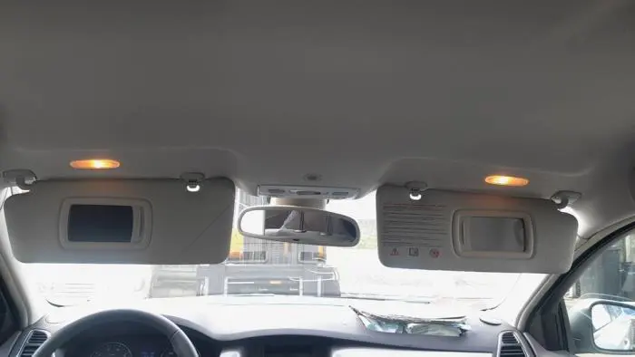 Retrovisor interior Renault Laguna